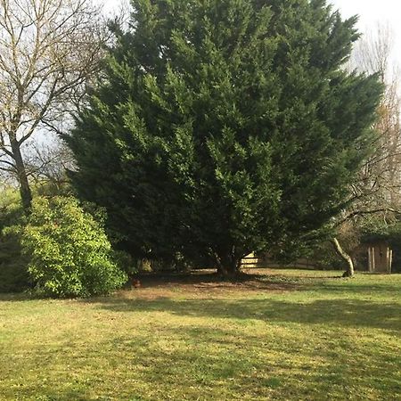 La Grange De La Batone - Bed And Breakfast Messimy-sur-Saone ภายนอก รูปภาพ